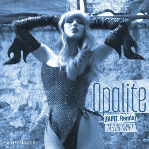 Taylor Swift singer photo gallery on VaultVenus