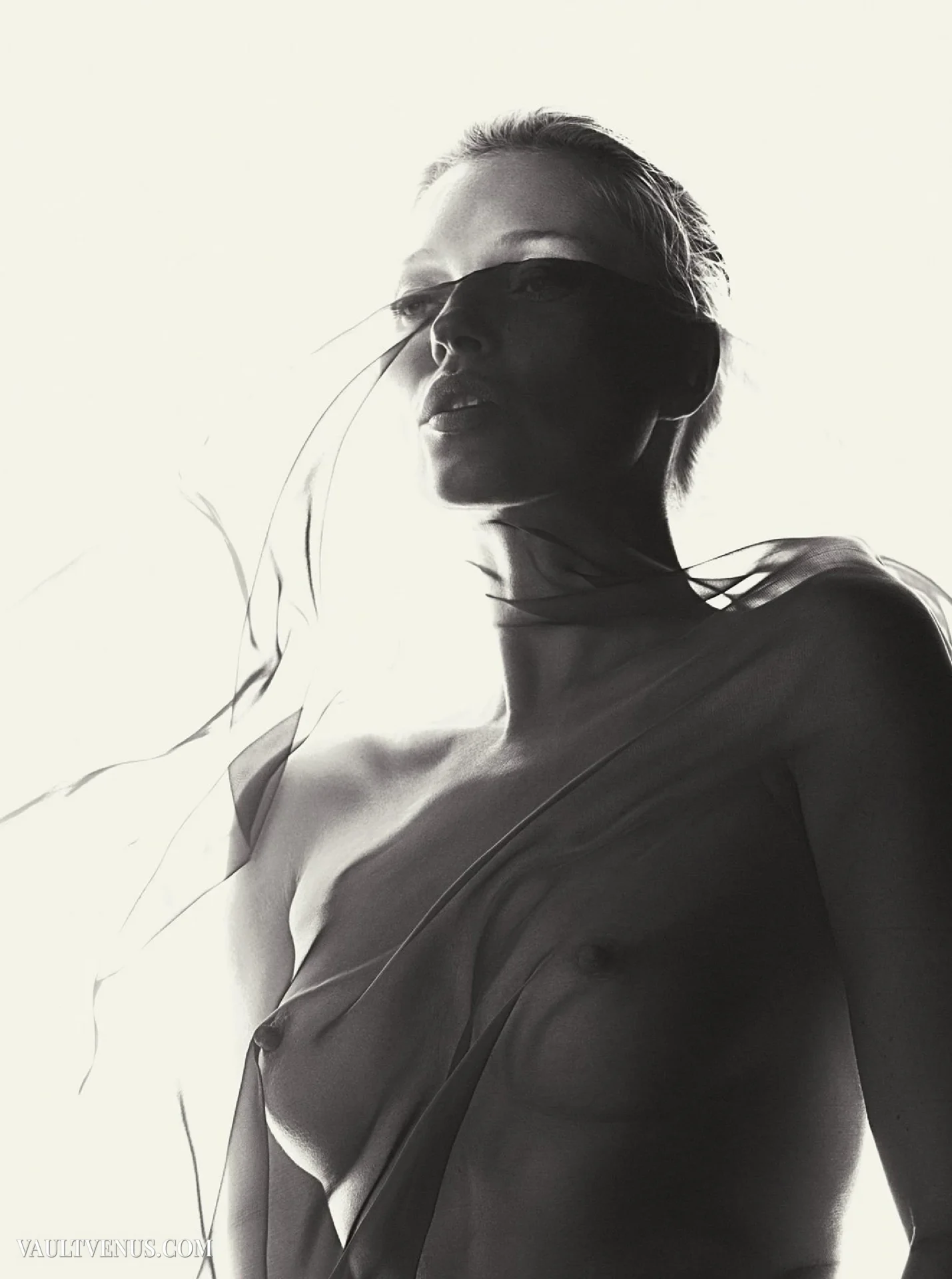 | Vaultvenus Kate Moss Playboy cover muse gallery on VaultVenus