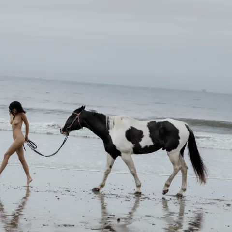 Kendall Jenner glamour nude gallery on VaultVenus