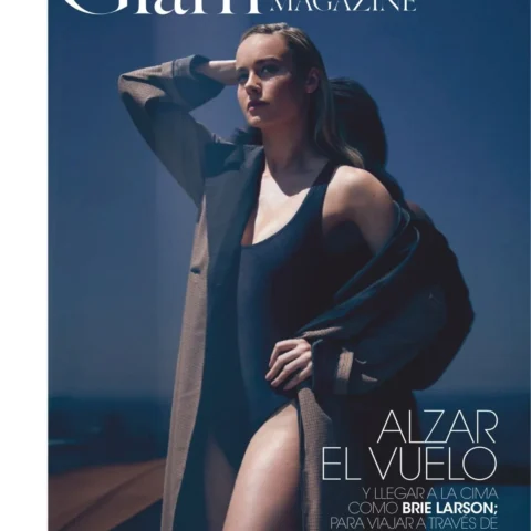 Brie Larson premium nude gallery on VaultVenus