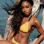 Normani commands attention in stunning bikini for si swimsuit related photo gallery on vaultvenus